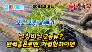 2022년 5월 21일 참깨 아주심기,  트레이 모종 쉽게 빼는 벙법, 멀칭비닐 종류 2가지가 있는거 아시나…
