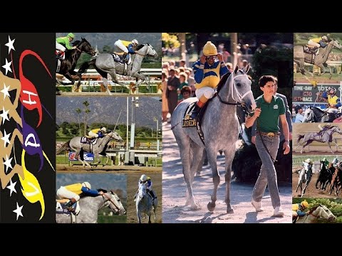 LADY'S SECRET con PAT DAY DISTAFF 1986...!!!