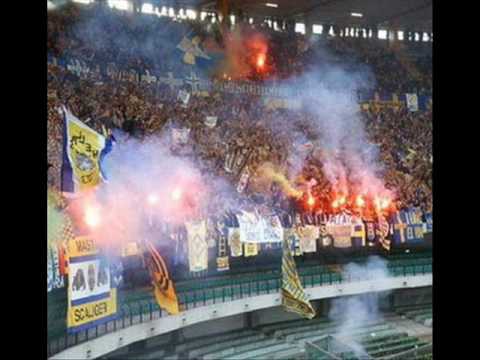 gemellaggi hellas: fiorentina sampdoria lazio triestina..we ll be coming stan arrivando i gialloblu