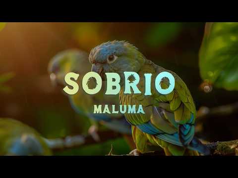 Maluma - Sobrio