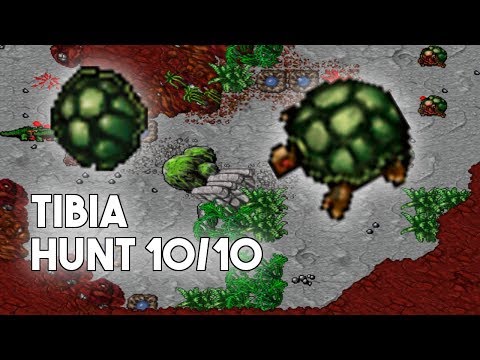 [PL] Tibia Hunt 10/10 Loot Prey | Tortoise (Fenrock) #33