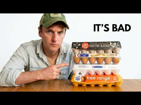 A Farmer Explains Why NOT To Buy Eggs
