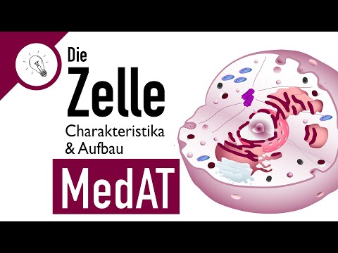 Die Zelle - Aufbau & Charakteristika | MedAT | Biologie