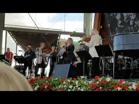 Benny Anderssons Orkester -Scottis Schottis