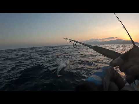 Insane gt topwater strike