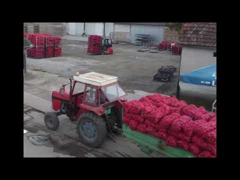 Otkup paprike u Ruskom Krsturu