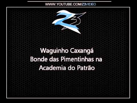 Waguinho Caxangá - Bonde das Pimentinhas na Academia do Patrão