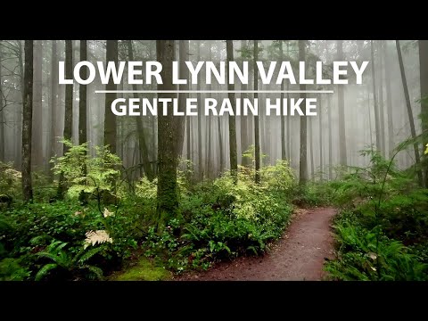 Relaxing Rainy Virtual Hike through Lower Lynn Canyon, North Vancouver BC Canada