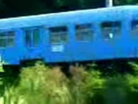 Tren personal filmat de langa mures