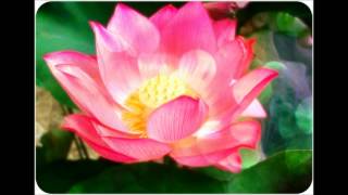 Lotus Flower Bomb Remix (Official Audio) - Lil Ra X ILLaborate X Team GOCD