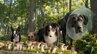 Doggy Style | Secondo Trailer Ufficiale