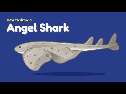 How to draw a sea animal - Angel Shark? Easy and simple drawing | Animal character design tutorial