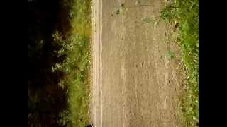 MOV00177