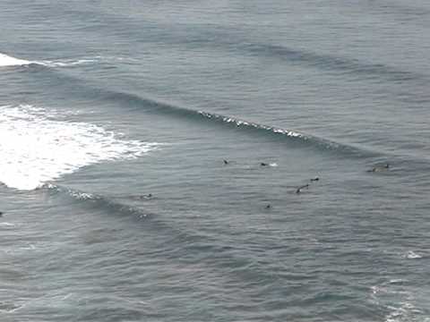 FRUSSURF.com BARRIKA Lunes 27 de Septiembre 2010