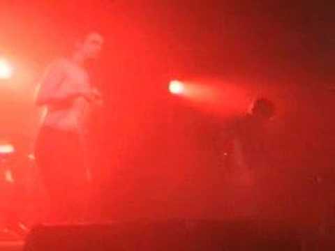 Babyshambles - Wolfman