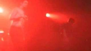 Babyshambles - Wolfman