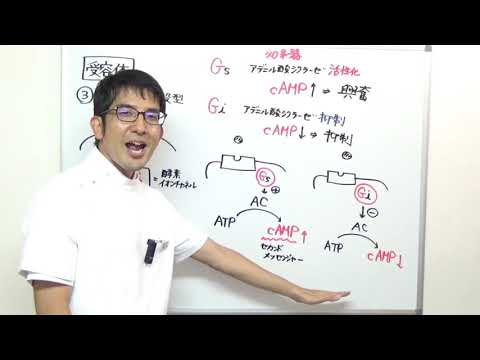 ペルオキシソーム増殖因子活性化受容体 - 定義