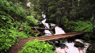 Trip video from Red Eagle Trailhead along the south shore of St. Mary Lake, past Virginia Falls and St. Mary Falls to the Going-to-the-Sun Road.