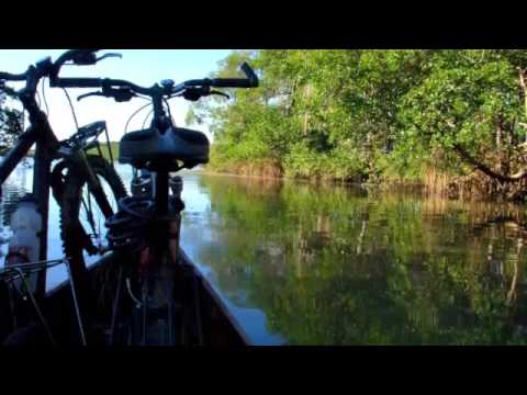 Curumin - Magrela Fever