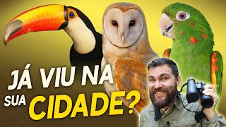 Miniatura do vídeo