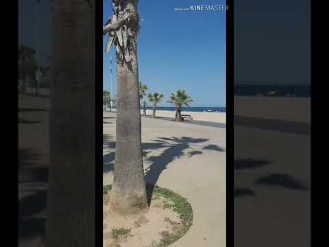 In the End (Remix) Barcelona Beach (Playa) Love/Peace (Mellen Gi & Tommee Profit) Remix