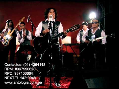 Te vas y no volverás - Antología