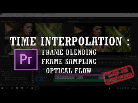 Time Interpolation : Frame Sampling vs Frame Blending vs Optical Flow | Slow Motion Video