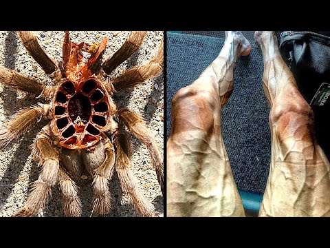 Things You Will See for the First Time in Your Life - Part 9