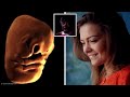 Things You Will See for the First Time in Your Life - Part 9