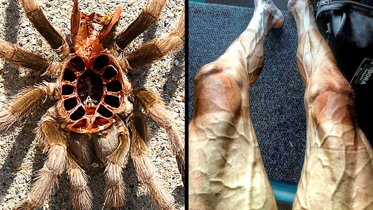 Things You Will See for the First Time in Your Life - Part 9