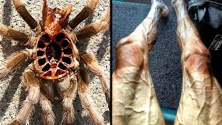 Things You Will See for the First Time in Your Life - Part 9 video