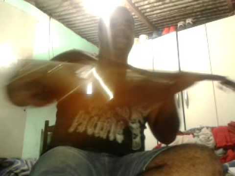 So liguei pra te dizer que eu te amo (Big Don Osmar-Tributo a Chico Rey)