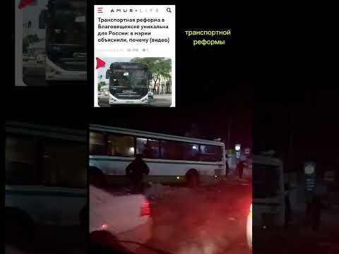 В Амурской области в Чигирях пассажирский автобус врезался в дерево из-за отказавших тормозов.