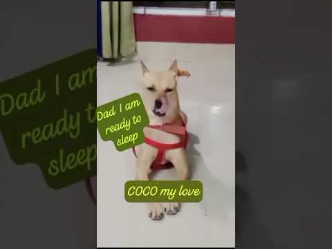 #Dad I am ready to sleep 😴😴😴