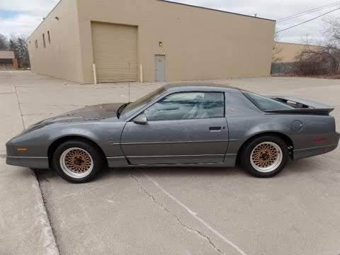 1987 Pontiac Chieftain (CC-1603510) for sale in Clinton Township, Michigan