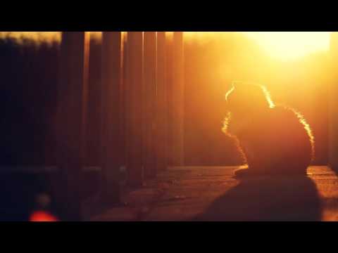 Matthew Adams Pres. Stratosphere - Sunscape (Original Mix)