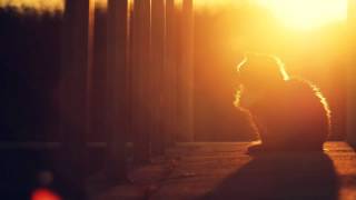 Matthew Adams Pres. Stratosphere - Sunscape (Original Mix)