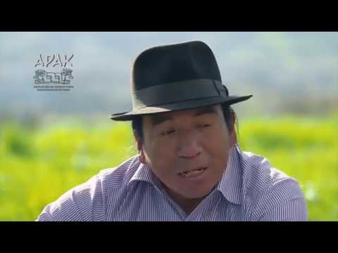 GRUPO AYLLUPURA  UKLLASHPA MUCHASHA  nuevo exito  2018