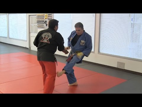 Kenpo Technique - Prance of the Tiger - S.M. Mohamad Tabatabai