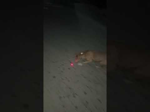 Please Subscribe Me #FarhanDabeer #Trendingreels #Viralreels #Shortsreels #Omg #Wow #Amazing