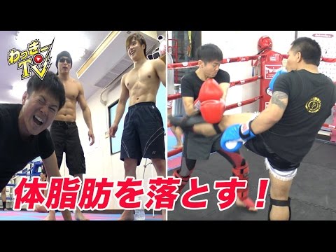 ダイエット＆体脂肪燃焼！【クラミツムエタイジム】