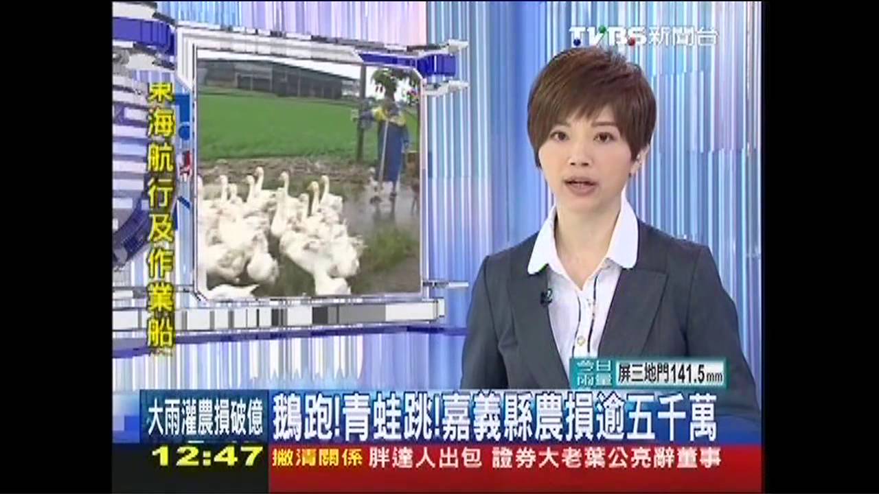 康芮颱風/ 鵝跑!青蛙跳! 嘉縣農損1億3千萬