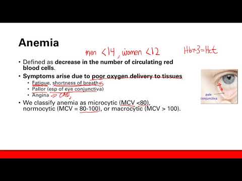 Anemia intro | Hematology | Step 1 Simplified