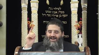 הרב אופיר טנג"י - פרפראות בפרשה -פרשת שמיני