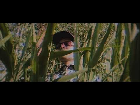 BEETA x WARRAIN - HALAS