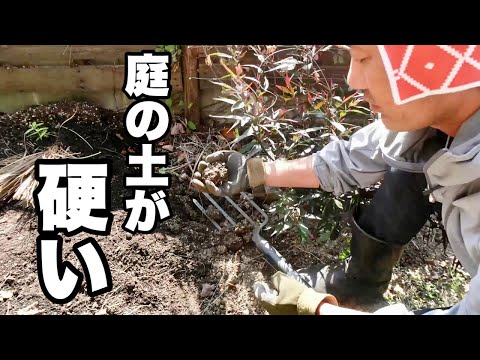 庭のメンテナンス – 庭の土壌を改善する自然な方法  庭園