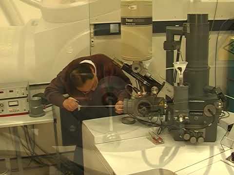 CryoSEM: Basic sample insertion techniques