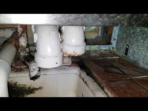 Floor Drain Full of Fruit Flies in Farmingdale, NJ