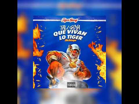 Que Vivan Lo Tiger 🐯 - Tali Goya X Lito kirino X Sensato ( Oficial Audio )