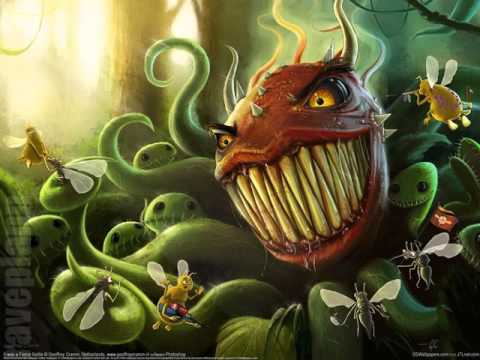 Psytrance Kabayun Fractal Fest 2012 DJ Set